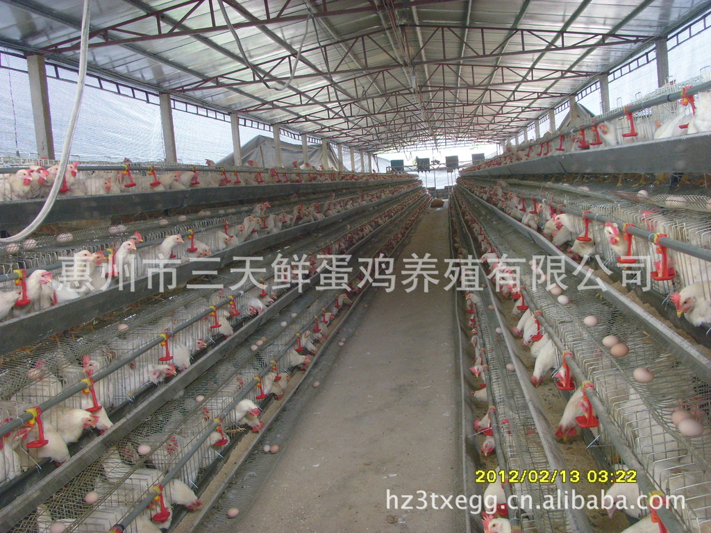 星空·综合体育