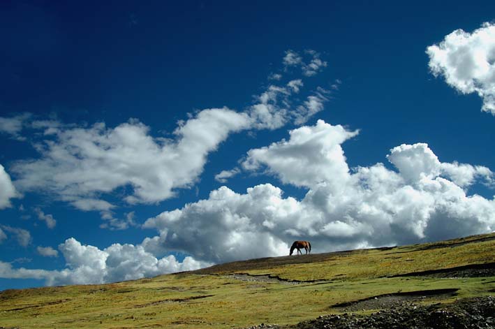 星空·综合体育