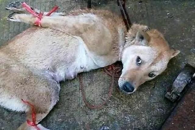 星空·综合体育