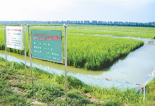 星空·综合体育