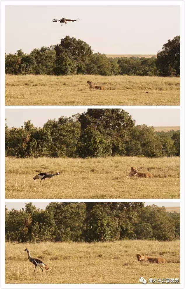 【星空·综合体育】商丘工学院举行“创新杯”科技比赛——航模设计比赛(图1) 星空·综合体育