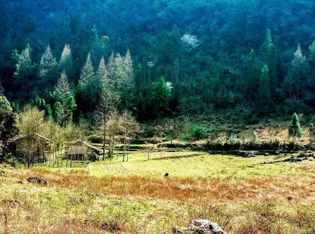 星空·综合体育