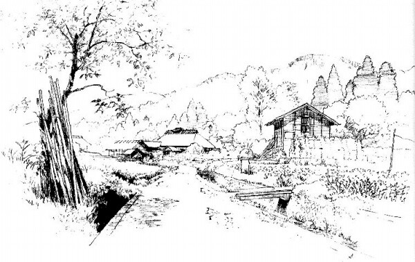 星空·综合体育